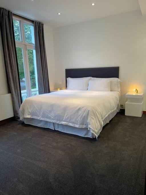 Designer 2 Bedroom Pimlico * London