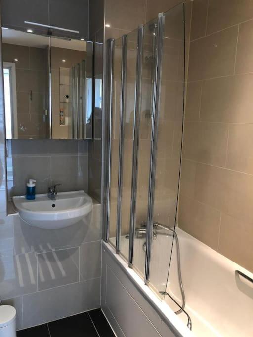 Opposite Shoreditch Park Appartement Londen