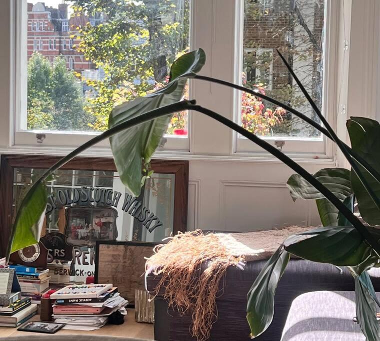 Apartment Lovely Flat Near Holland Park *