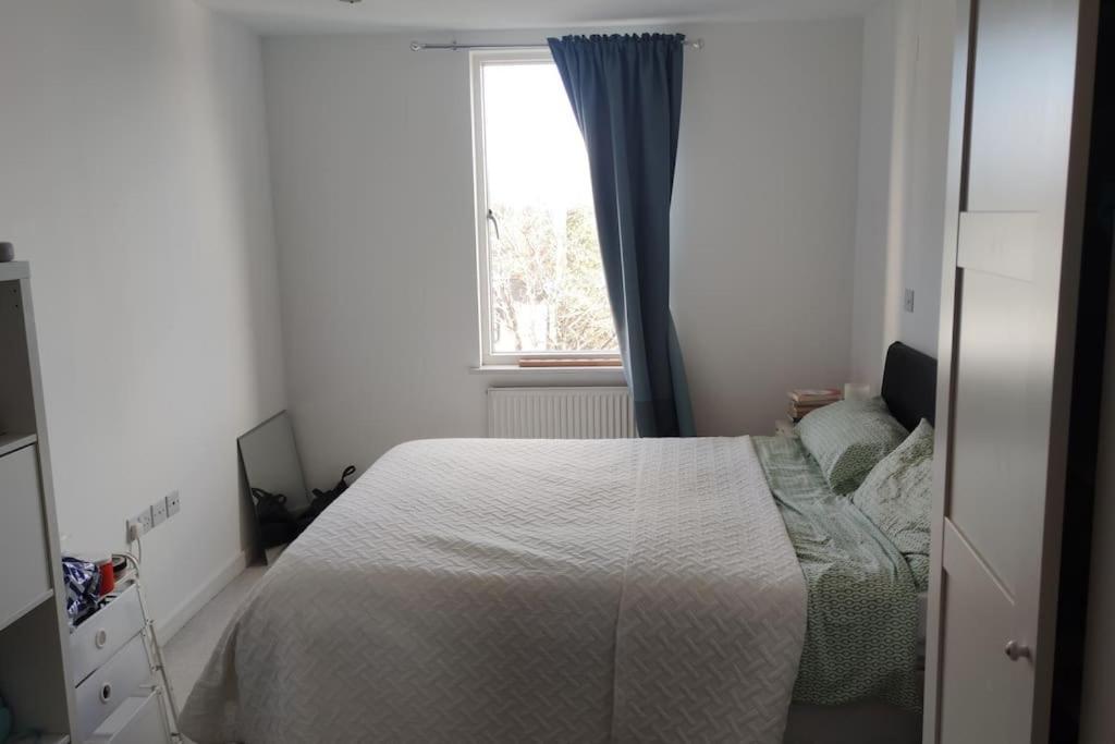 Apartamento Cosy And Spacious In Forest Hill Londres
