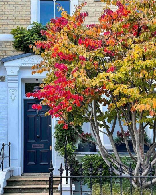 Chelsea Posh