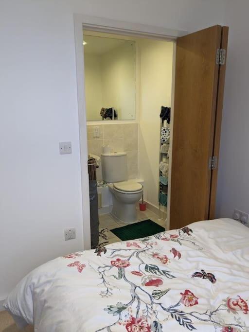 Apartment 2 Bed 2 Baths Apt In Stratford London