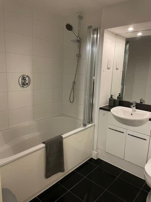 Apartment 1 Bedroom Royal Docks London