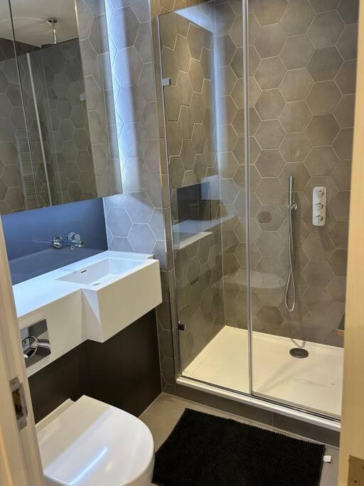 Apartment Modern 2 Bedroom Flat Near King's Cross. London