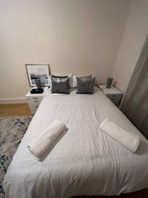 Apartment 003- Lovely 1-bedroom Very Close To London
