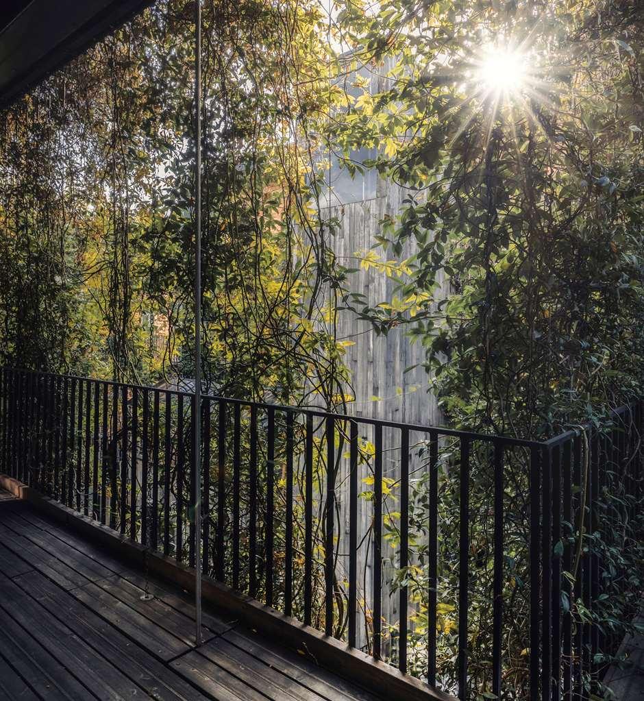 The Mandrake (adults Only) Hotel London
