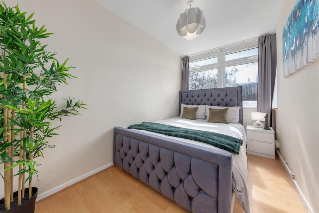 Apartment Hyde Park 4 Bedroom Superior