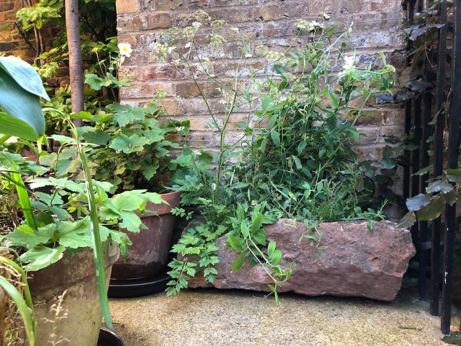 Ferienhaus Kings Cross, Self-contained House & Private Garden London
