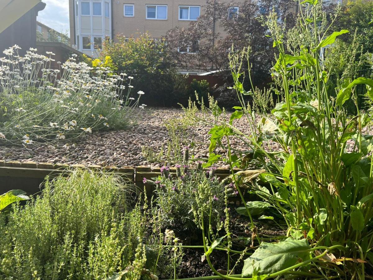 Double En-suite In Finsbury Park Homestay