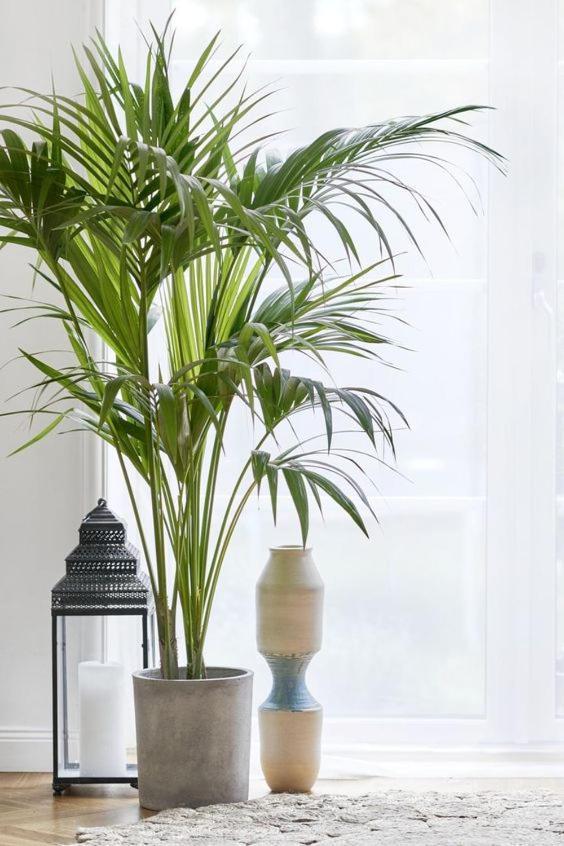 Apartment Beautiful And Charming Near Boxpark London
