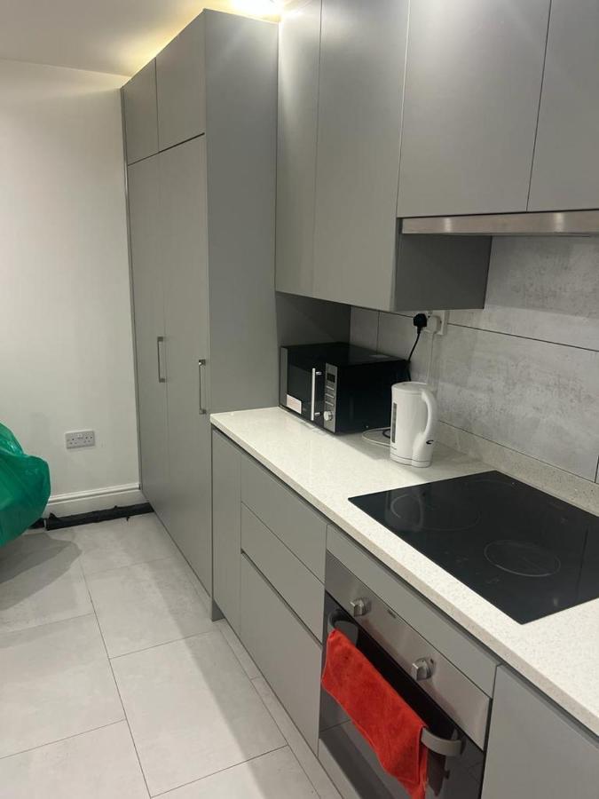 Appartement Amazing Flat 2 In Battersea Londen