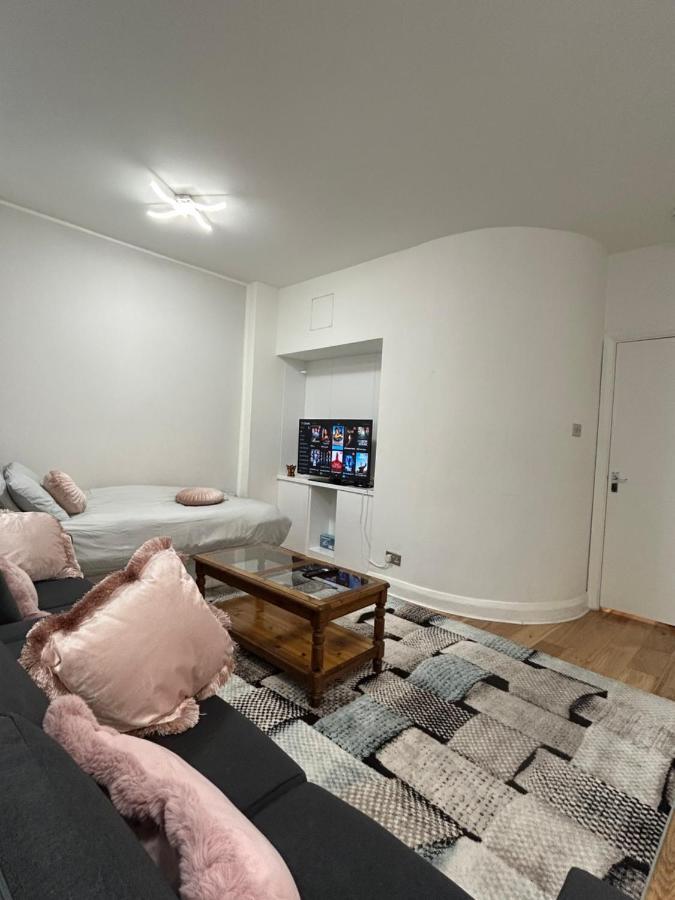 Marble Arch Apartment, 2-bedroom London
