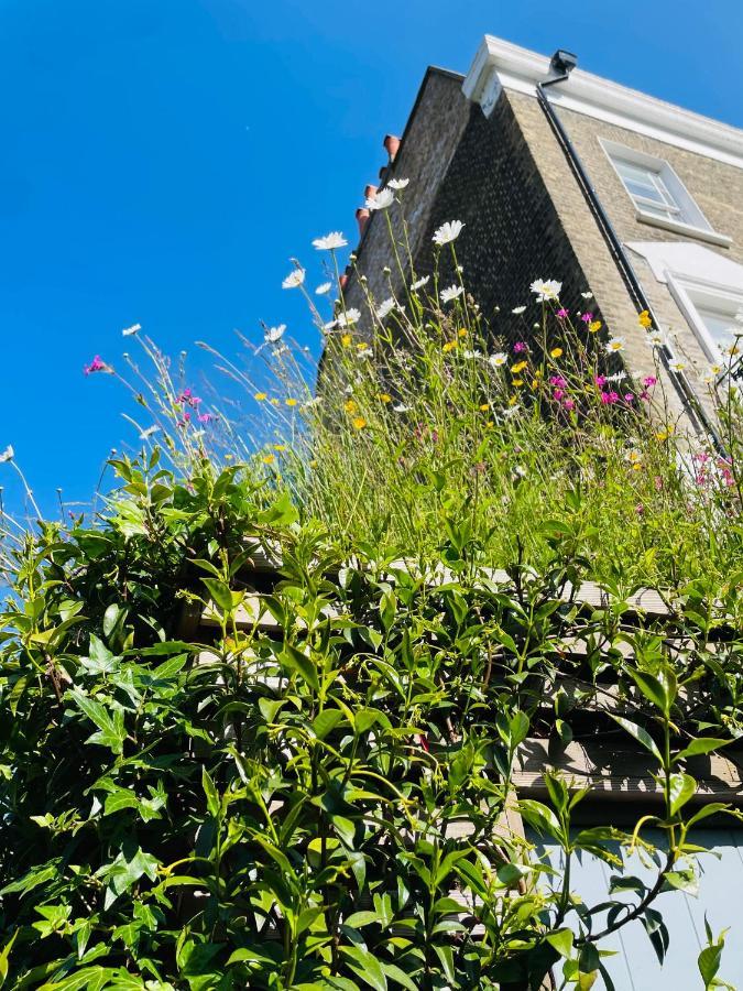 Gasthuis Camden Town Garden