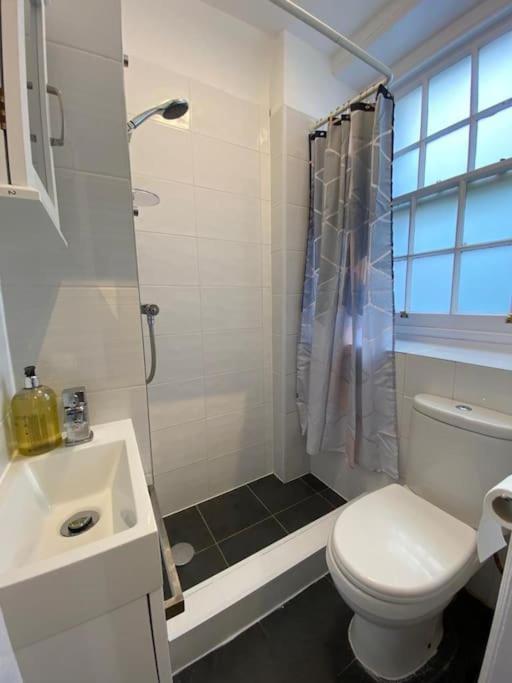 Central Chic Oasis ~ King's Cross Londen