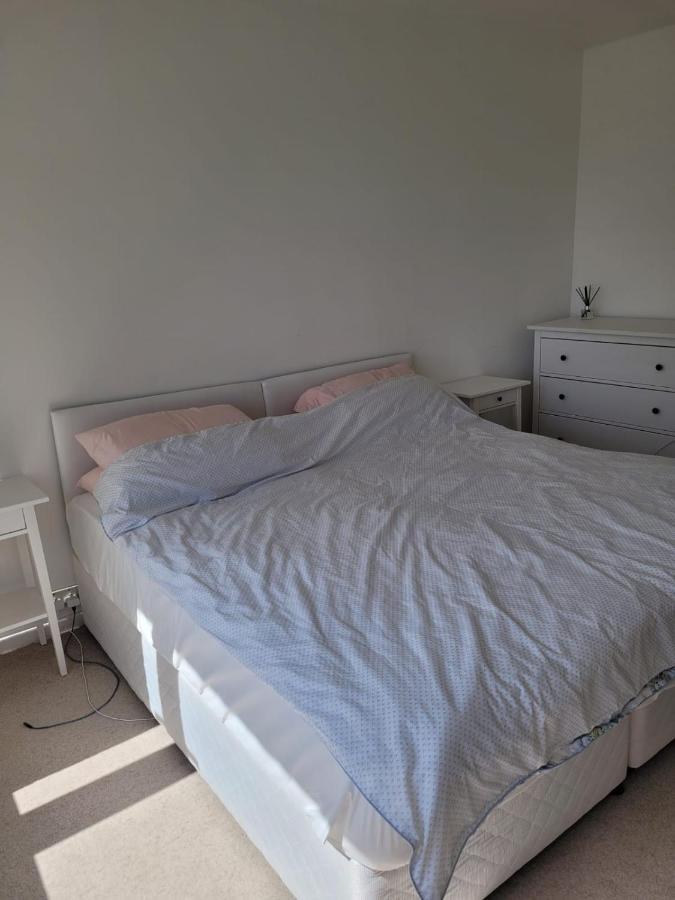 Wimbledon Village Homestay *