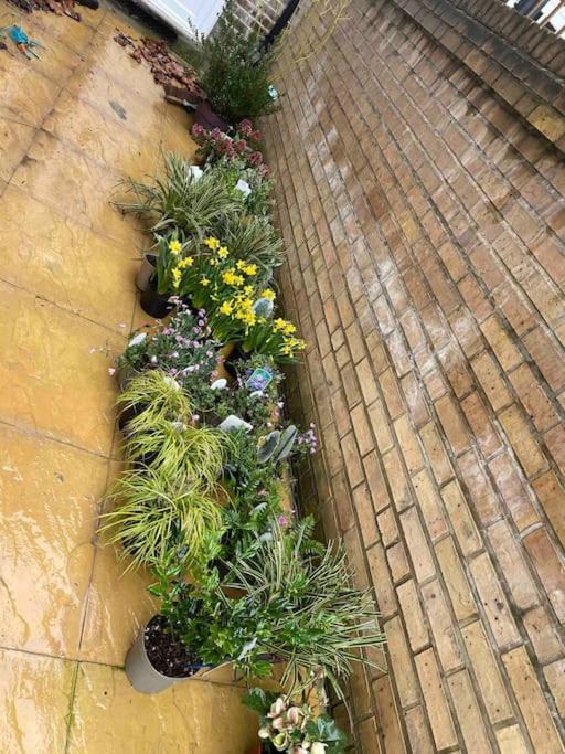 Apartment West Stunning Garden Flat - Period Features