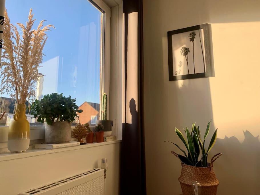 Apartment Lovely 1 Bedroom Flat In Zone 1/2