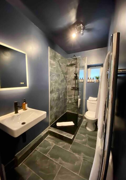 Appartement Stylish For 3 Near Regents Park N4 Londen