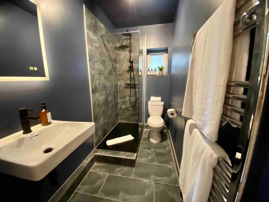 Stylish For 3 Near Regents Park N4 Londen