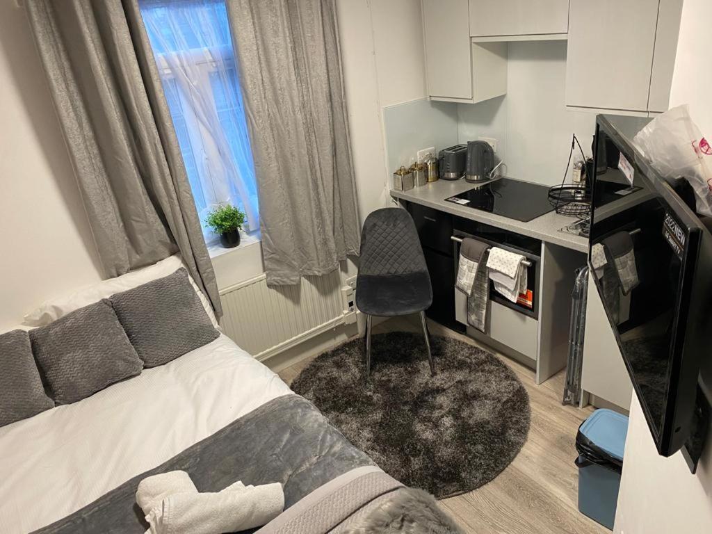 Small But Cozy Studio, Great Tube Connection Apartment London
