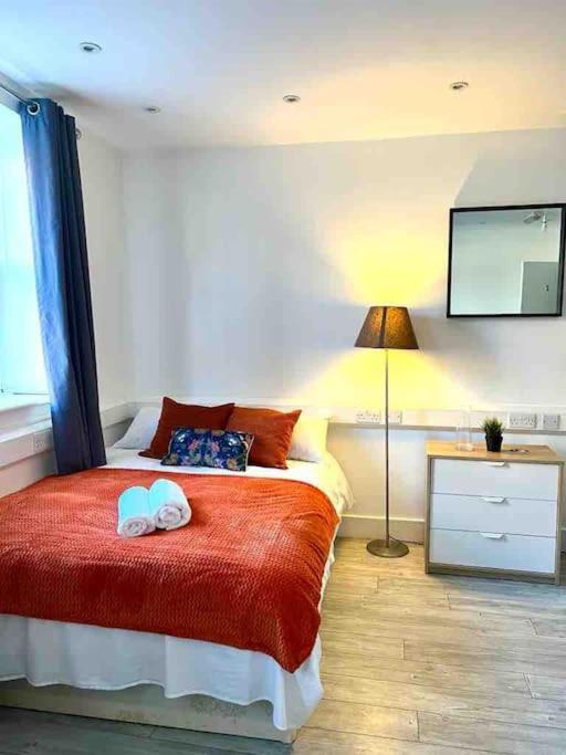 Spacious Flat In Apartment London