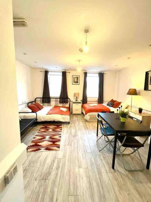 Apartment Spacious Flat In