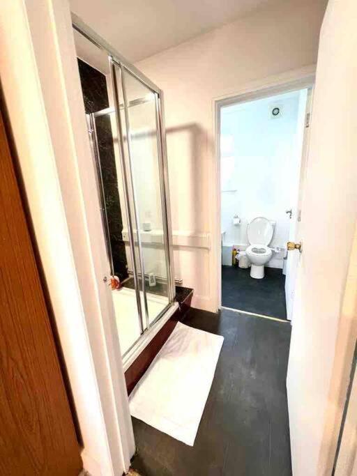 Apartment Spacious Flat In