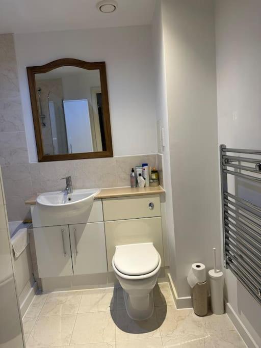 Bright And Spacious Flat In Wimbledon, Appartement Londen