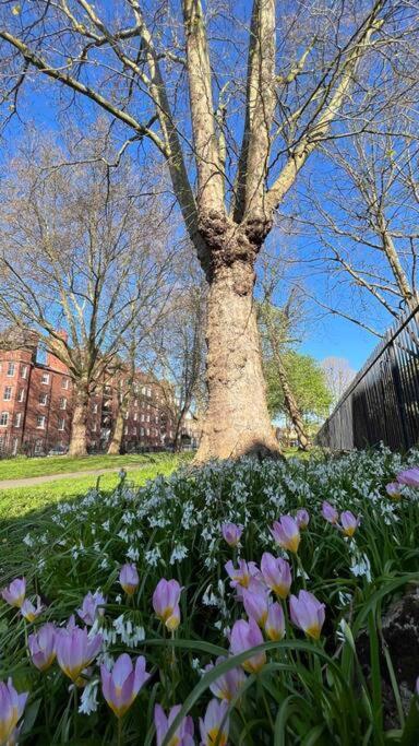 Peaceful Bright City Hide Away With Parking London