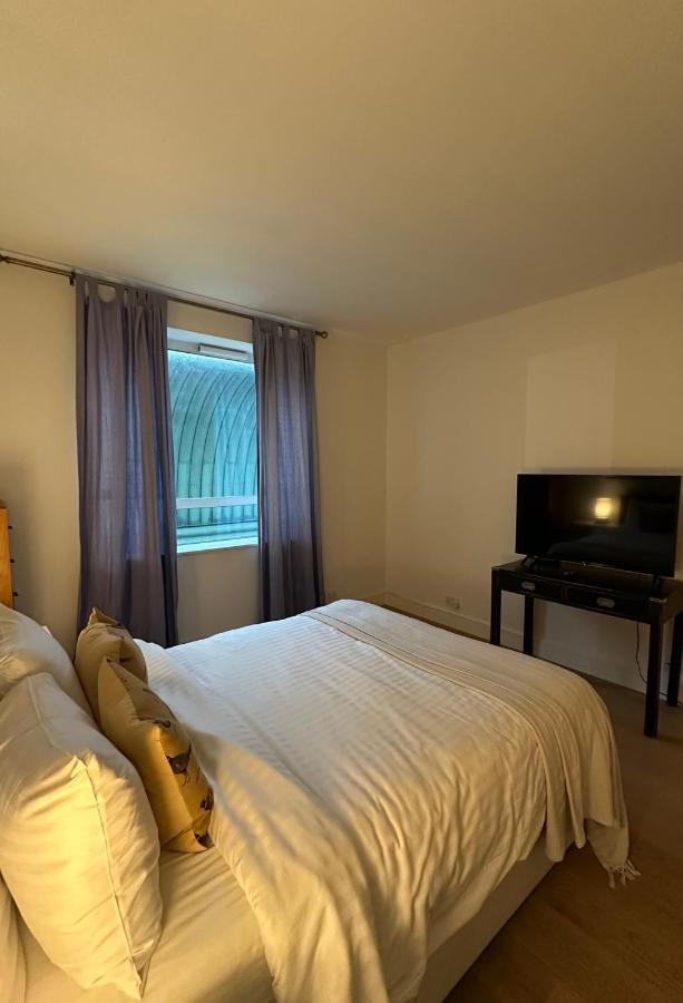Spacious One-bedroom In Canary Wharf Londen