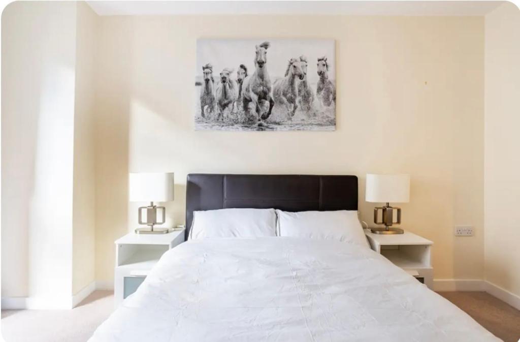 Apartment Luxury