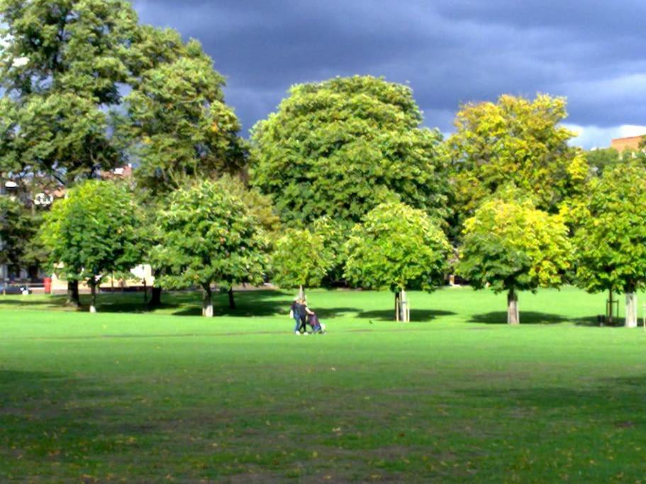 Appartement Beautiful 2br Flat, Peaceful Dulwich, South Londen