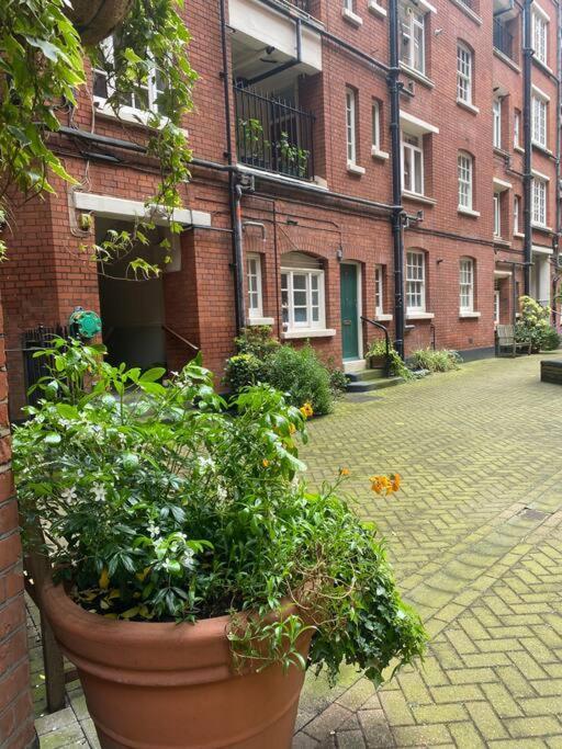 Stylish 2br Retreat In King's Cross,