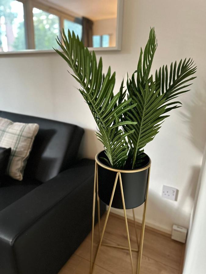 Appartement Cosy Central Londen