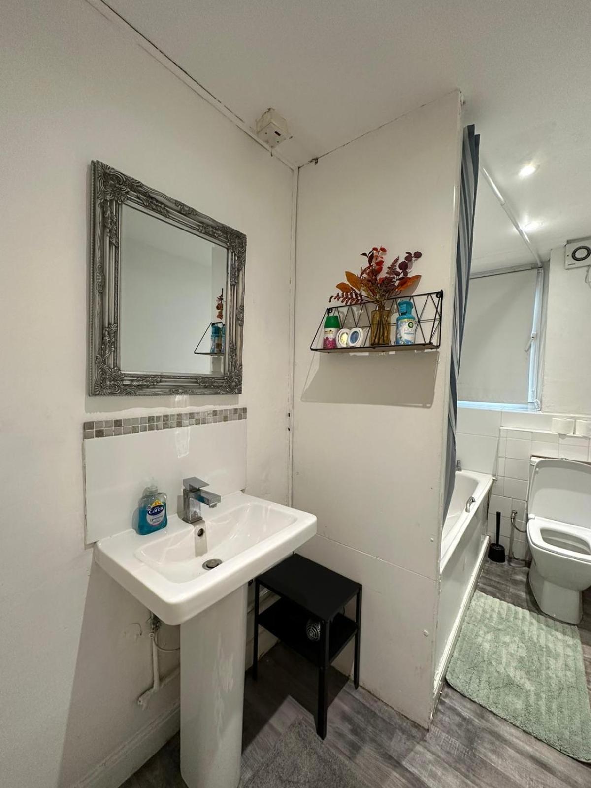 Modern 2 Bedroom Flat, 2 Minutes Walk To Bethnalgreen Station Londen