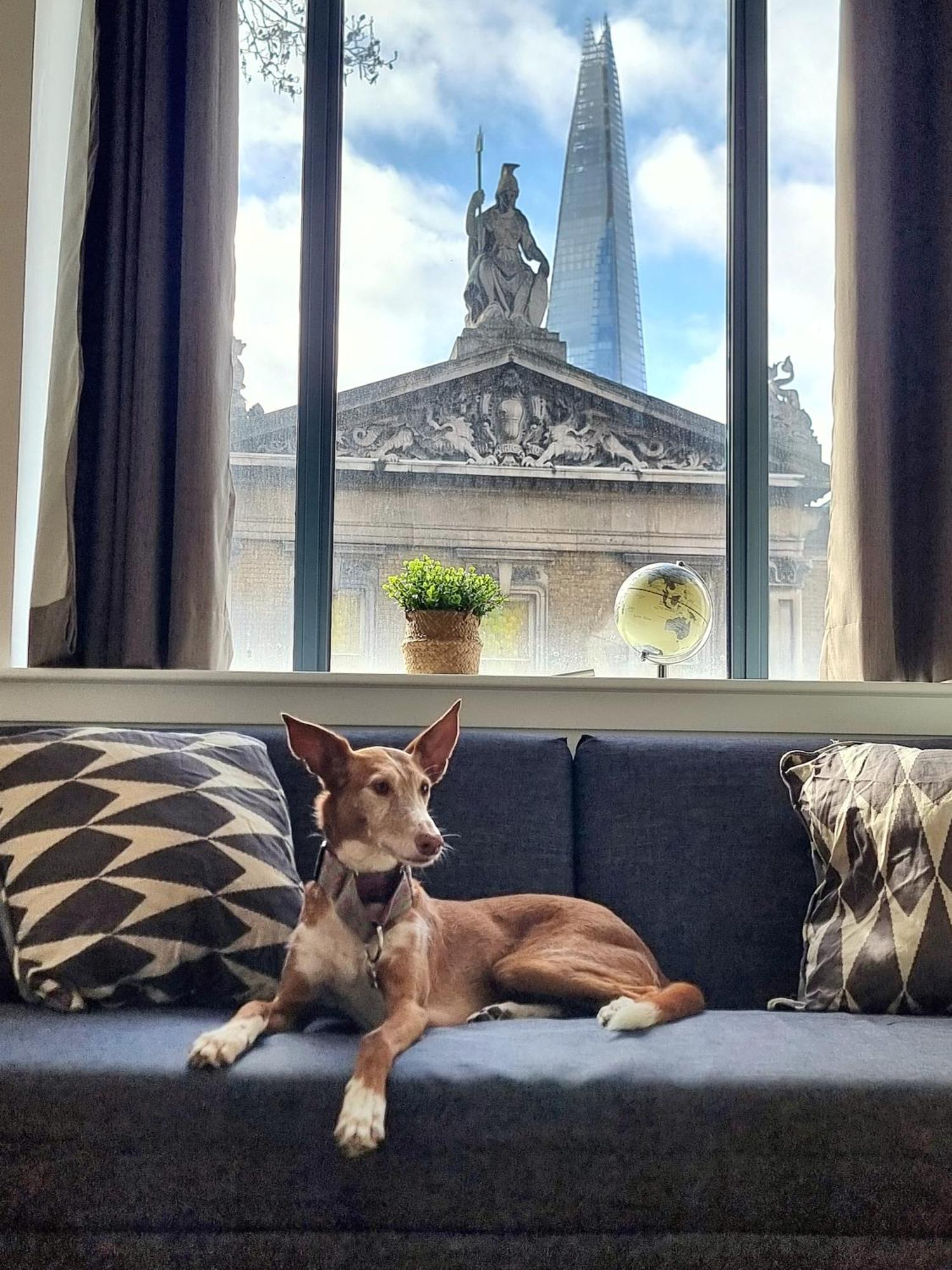 Shard View Apartment *