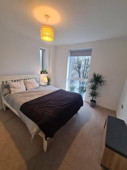 Apartment Wrong London
