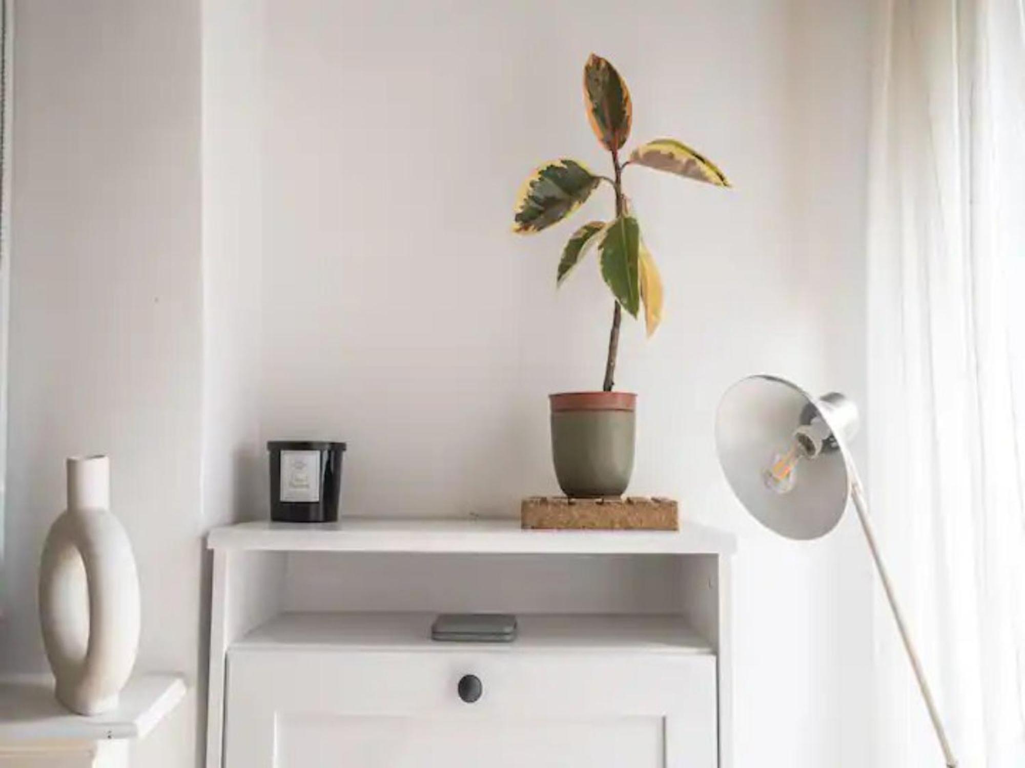 Pass The Keys Hither Ground Floor Flat With Garden * Londen