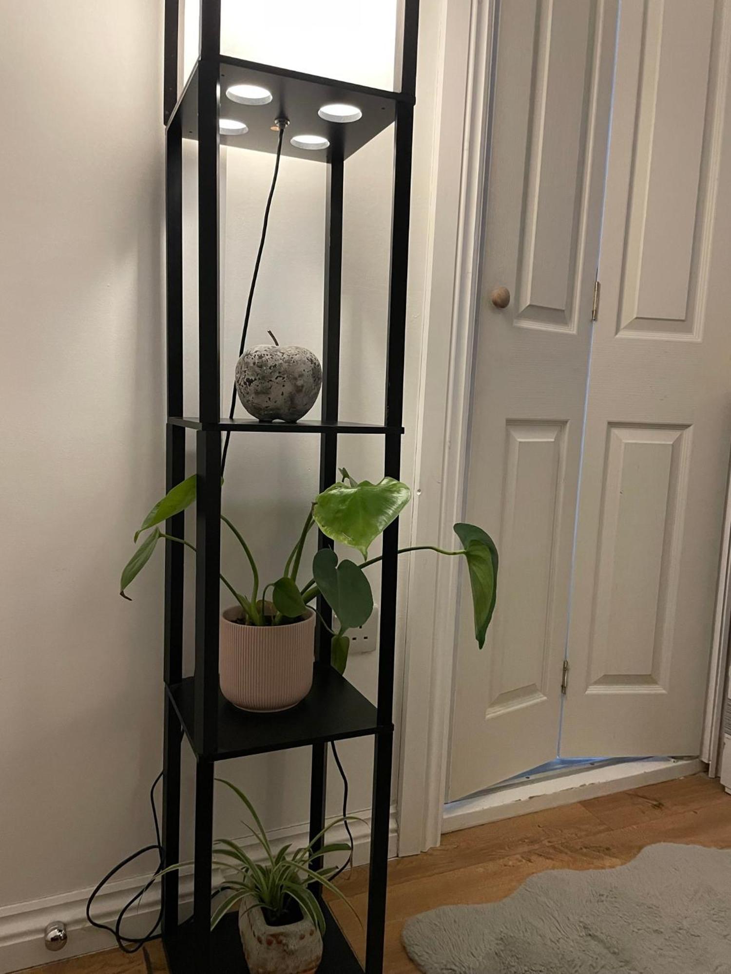 Fulham Flat *
