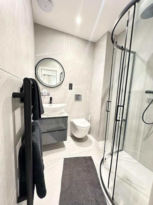 Apartment Spacious En-suite Private Bath And Kitchen Studio Flat Canary Wharf No 3 *