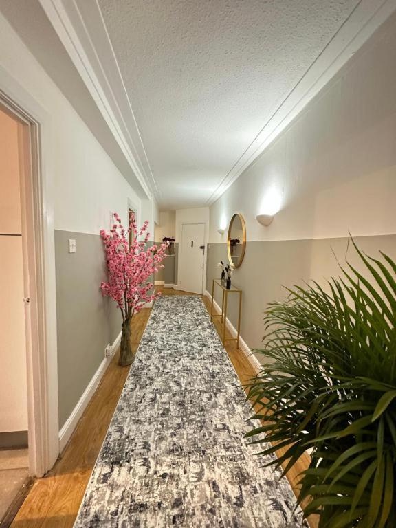 Hyde Park Three Bedroom Appartement