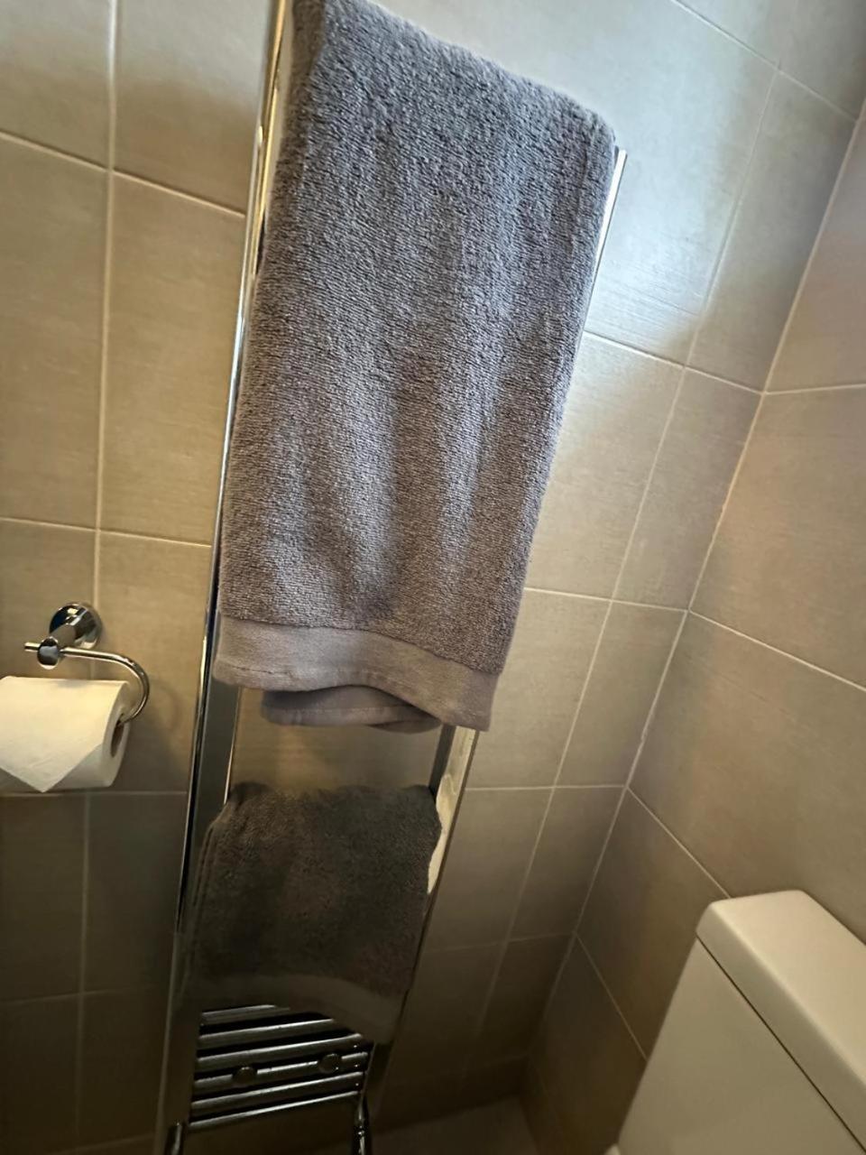 Large Studio With Extra Sofa Bed And Private Bath Plus Kitchen Canary Wharf 1 London