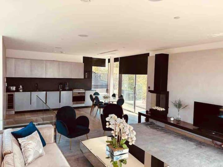 3 Bed 2 Bath Penthouse Hoxton Square With Terrace Apartment *