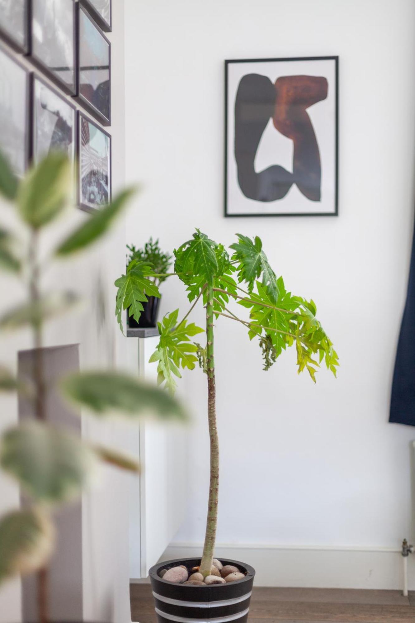 The Nine Elms Collection Apartment London