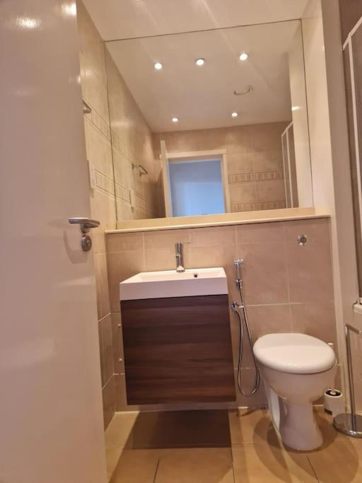 Large 1 Bed Flat Near Hyde Park