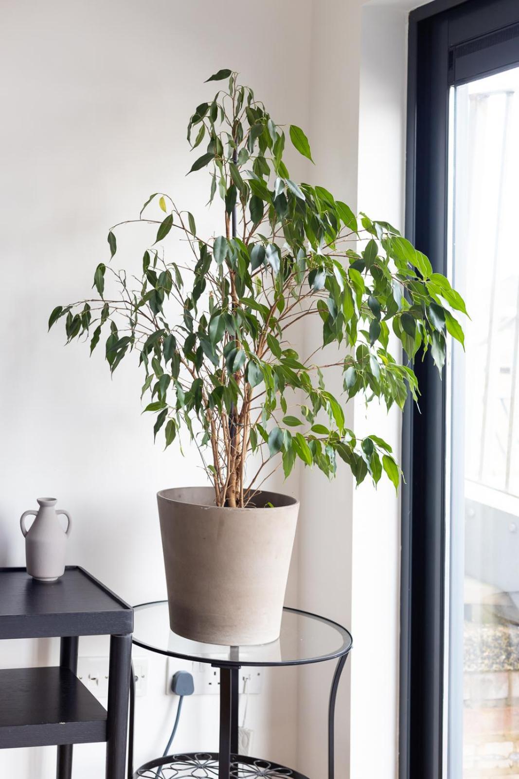 Luxury Penthouse In Apartamento Londres