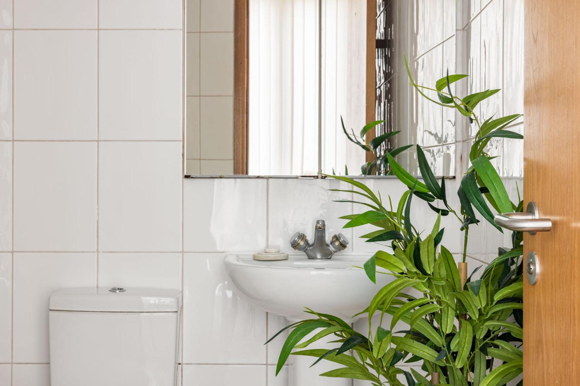 Appartement Paddington