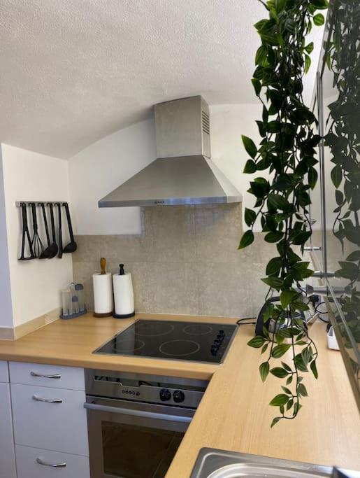 Spacious Flat In The Desirable Area Of Apartamento Londres