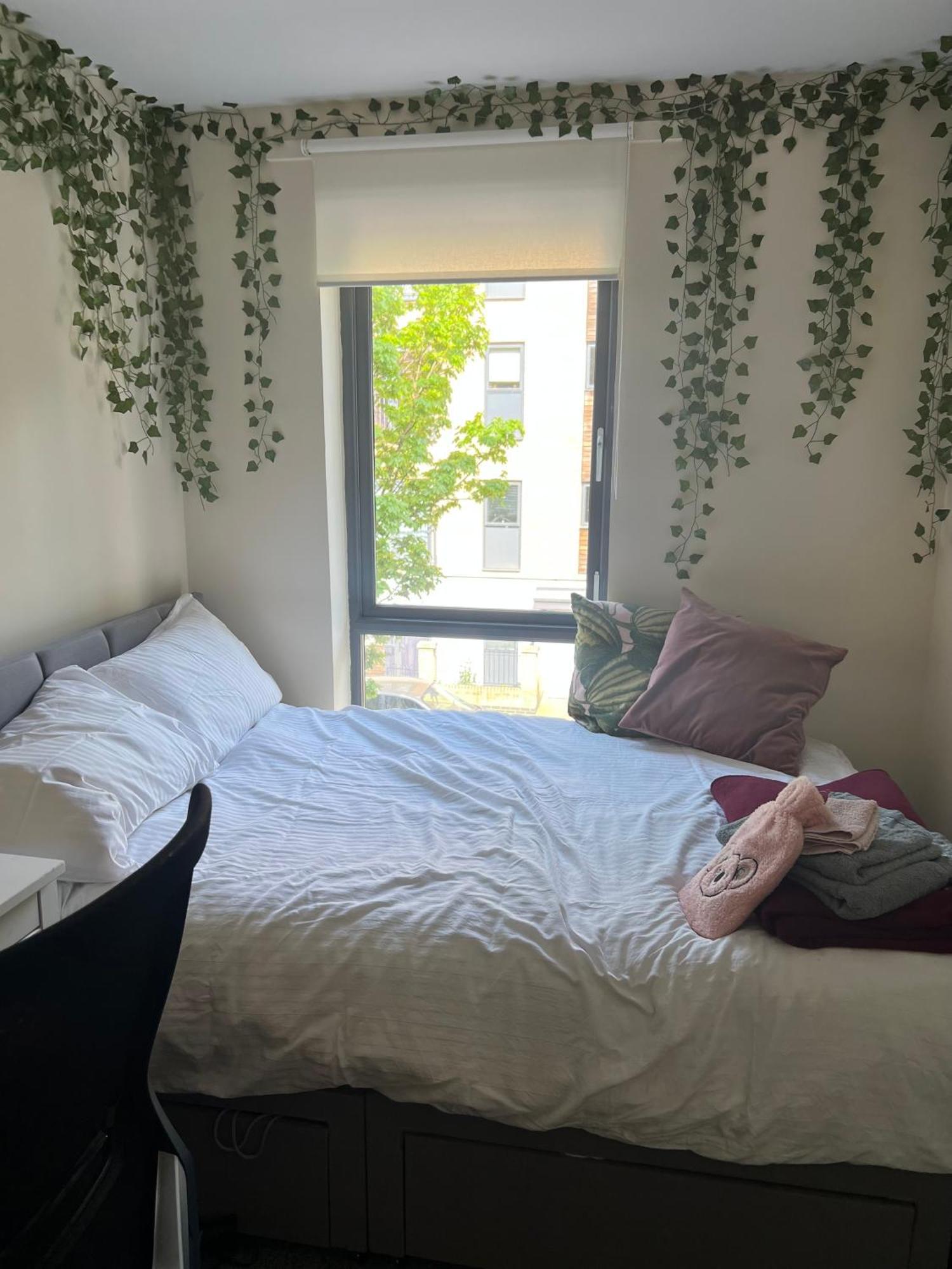 Homestay Blackberry Court London