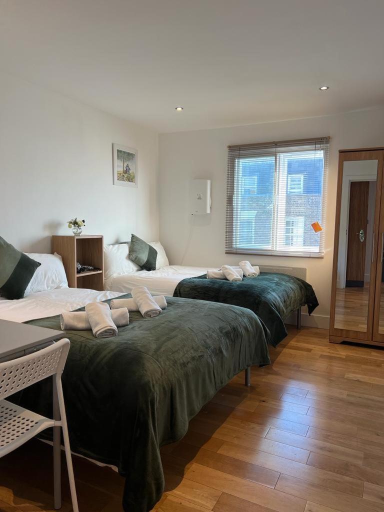 Cosy Private Near Euston Station, Londres